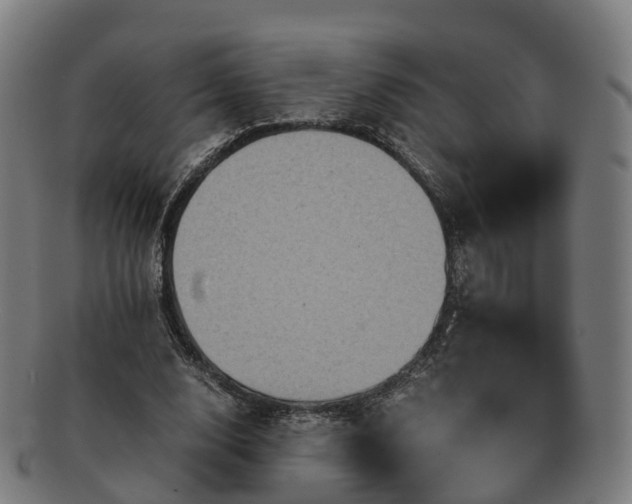 X0000091710632200708311117