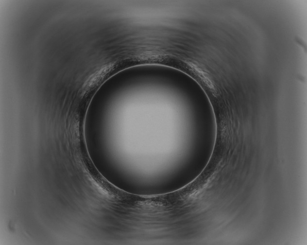 X0000091710633200708311117