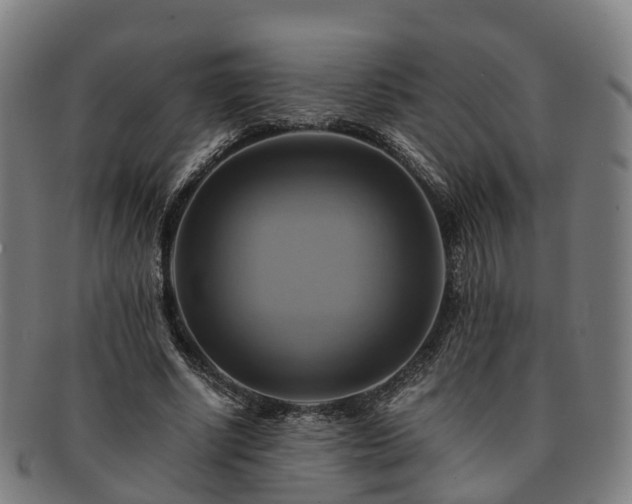 X0000091710634200708311117