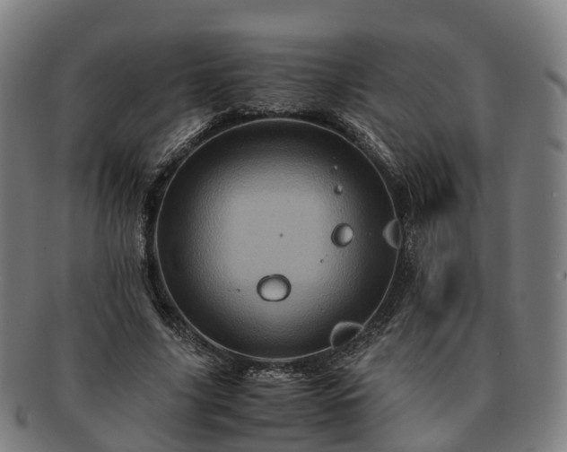 X0000091710635200708311117