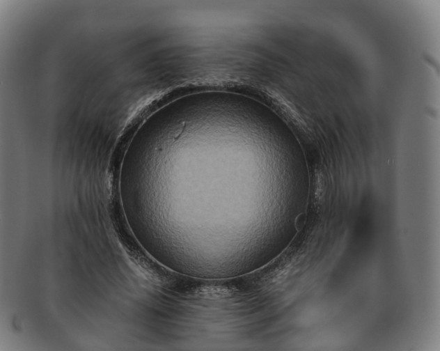 X0000091710636200708311117