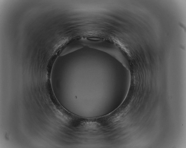 X0000091710637200708311117