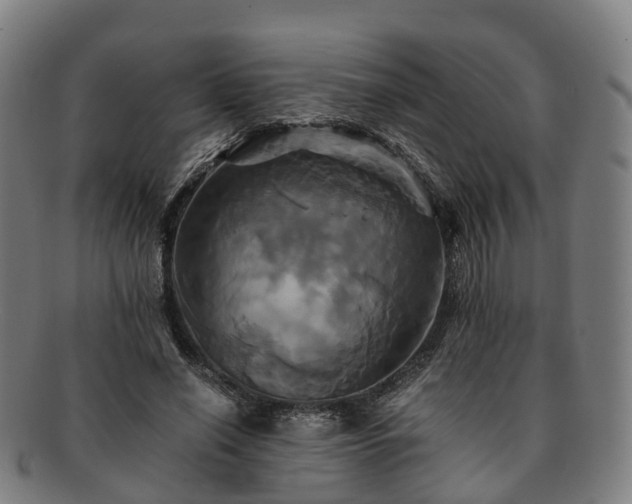 X0000091710638200708311117