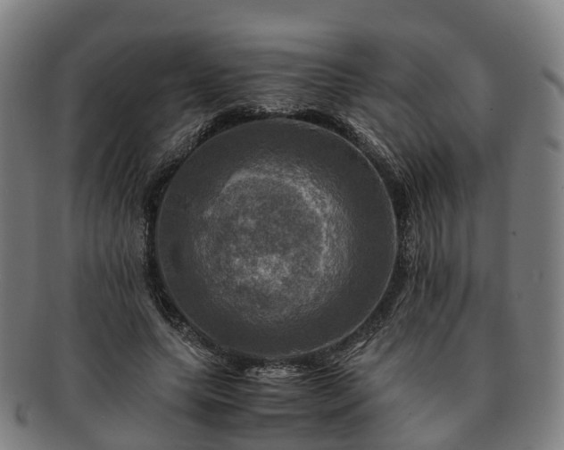 X0000091710639200708311117