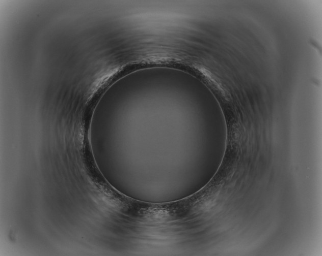 X0000091710640200708311117