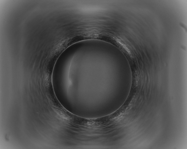 X0000091710641200708311117