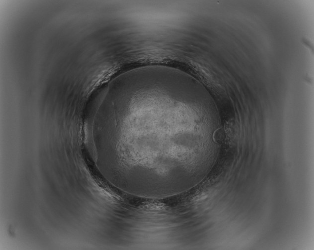 X0000091710642200708311117