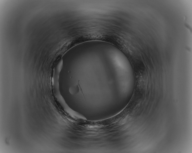 X0000091710643200708311117