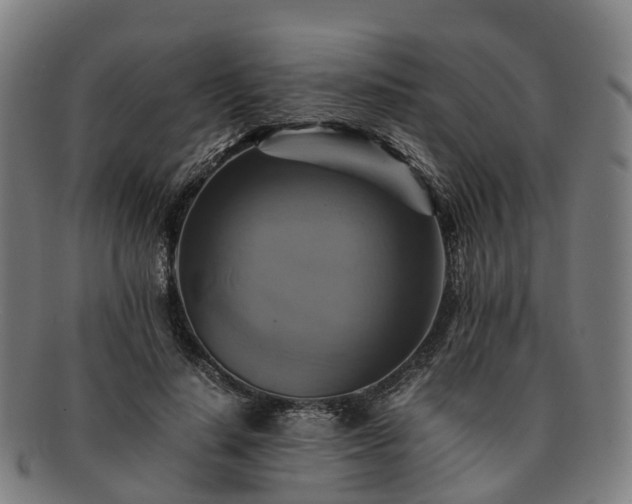 X0000091710644200708311117