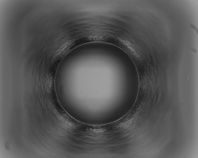 X0000091710645200708311117