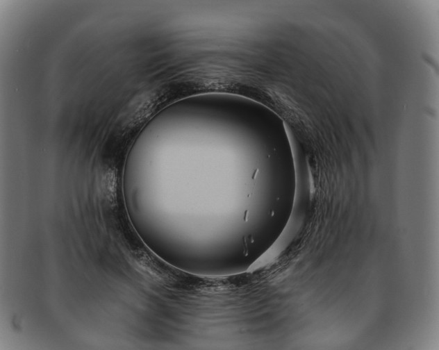 X0000091710646200708311117