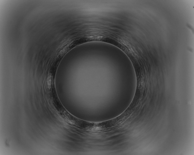 X0000091710647200708311117