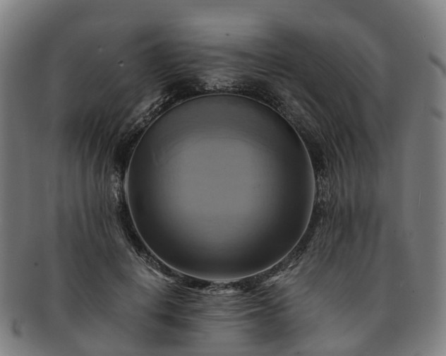 X0000091710648200708311117