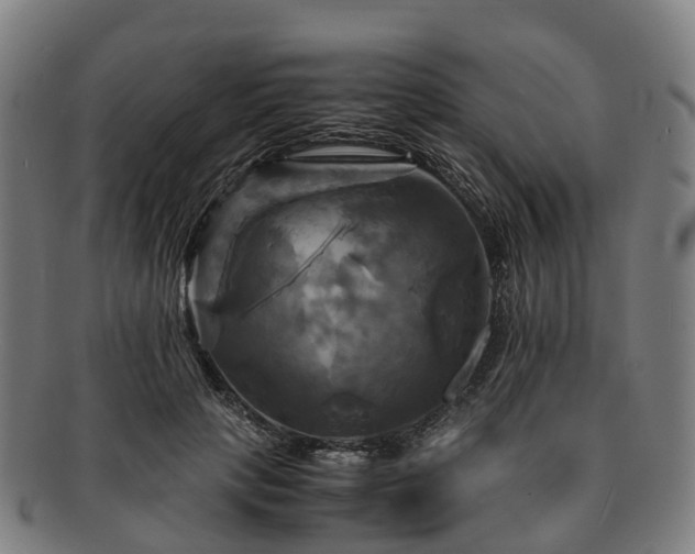 X0000091710649200708311117