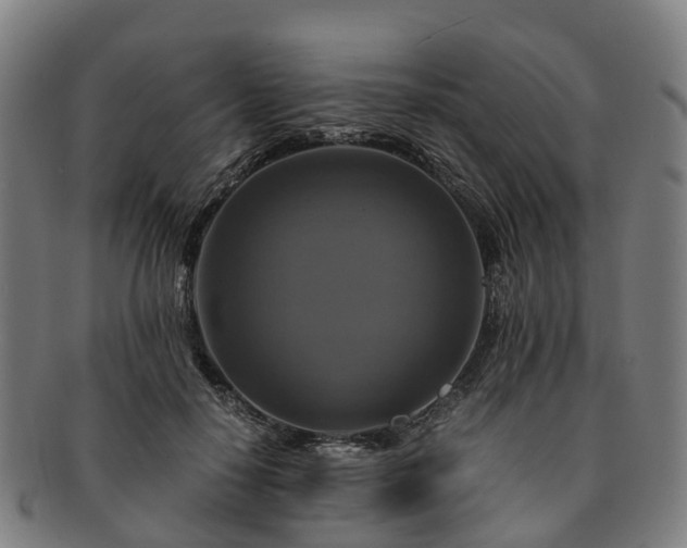 X0000091710650200708311117