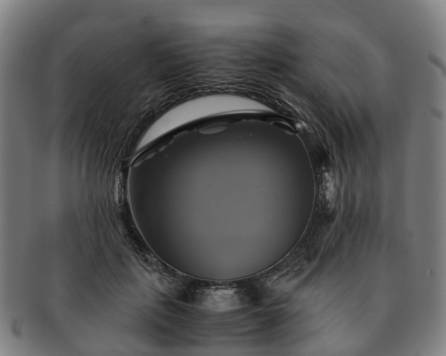 X0000091710651200708311117