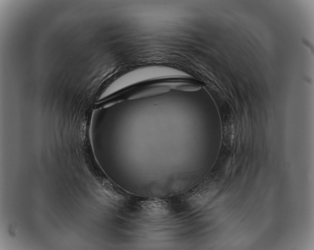 X0000091710652200708311117