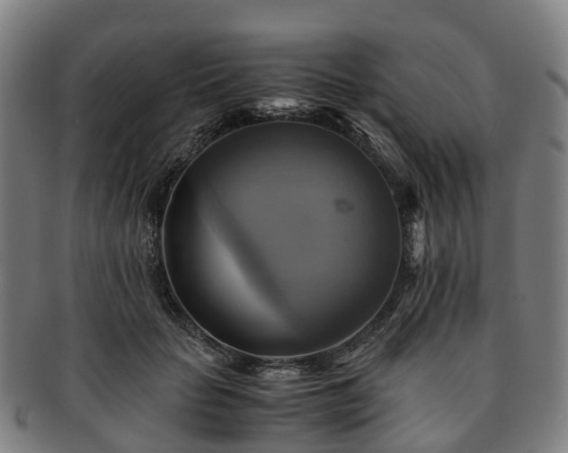 X0000091710653200708311117