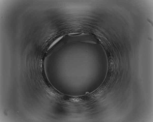 X0000091710654200708311117