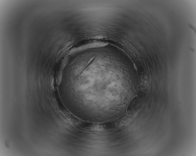 X0000091710656200708311117