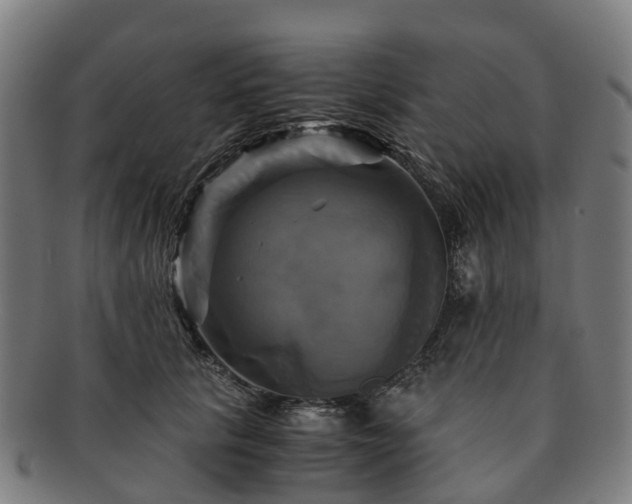 X0000091710657200708311117