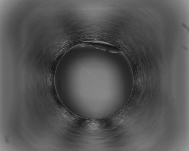 X0000091710658200708311117