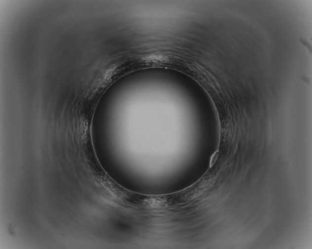 X0000091710660200708311117