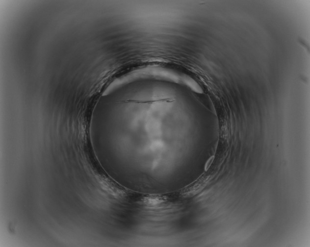 X0000091710662200708311117