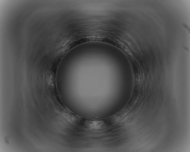 X0000091710663200708311117