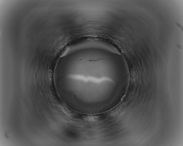 X0000091710664200708311117