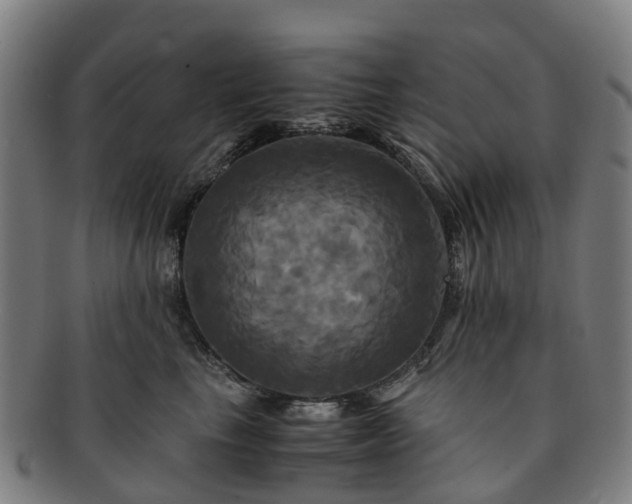 X0000091710665200708311117