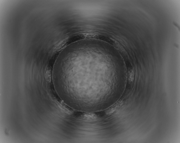 X0000091710666200708311117