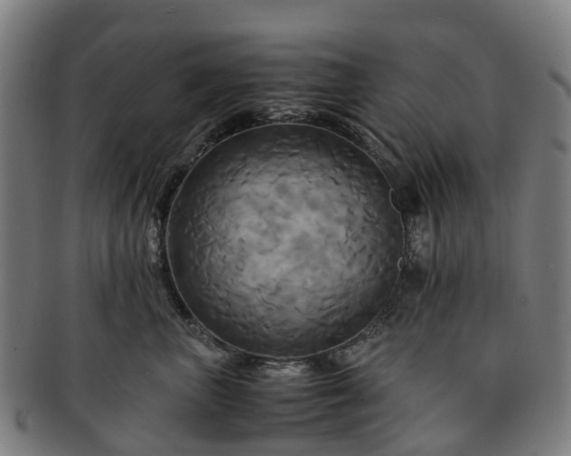 X0000091710667200708311117