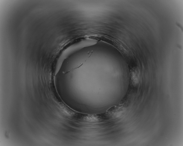 X0000091710668200708311117