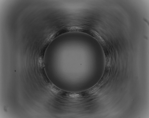 X0000091710669200708311117