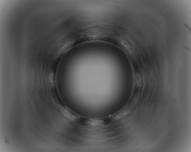 X0000091710670200708311117