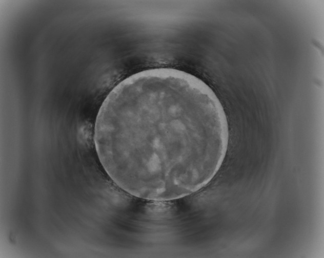 X0000091710672200708311117