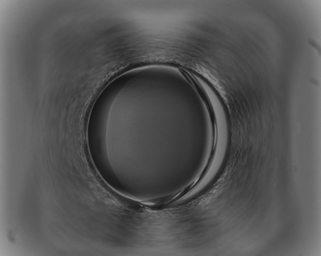 X0000091710673200708311116