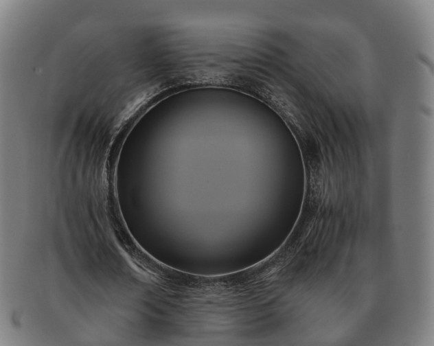 X0000091710674200708311116