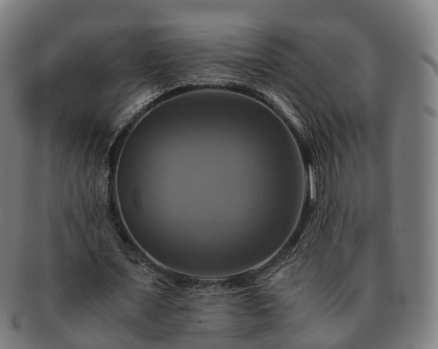 X0000091710675200708311116