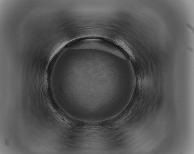 X0000091710676200708311116