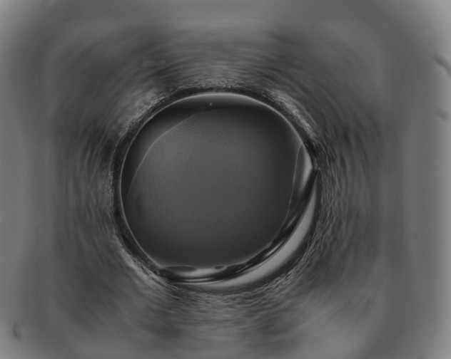 X0000091710677200708311116