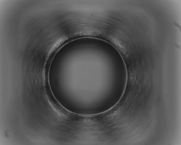 X0000091710678200708311116