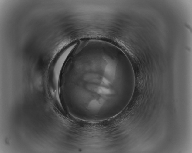 X0000091710679200708311116