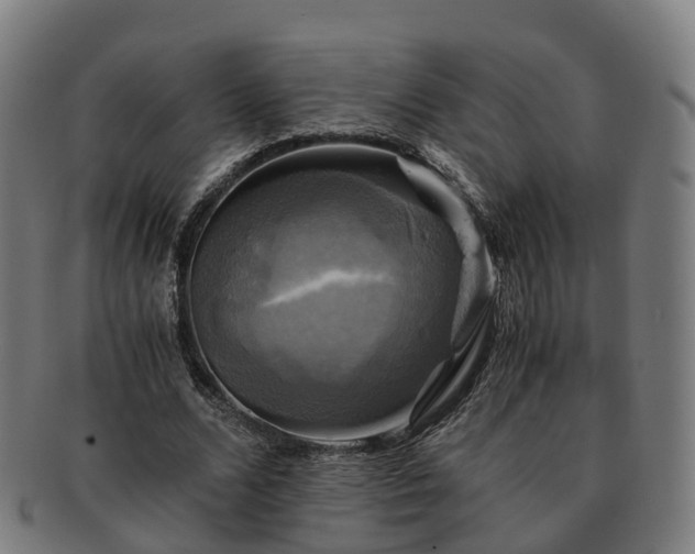 X0000091710680200708311116