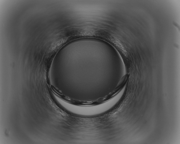 X0000091710681200708311116