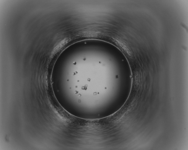 X0000091710682200708311116