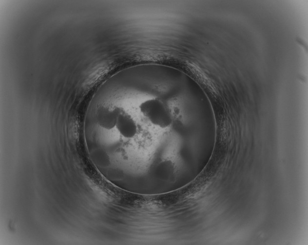 X0000091710683200708311116