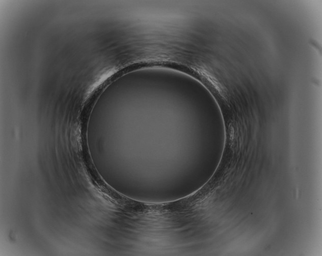 X0000091710684200708311116