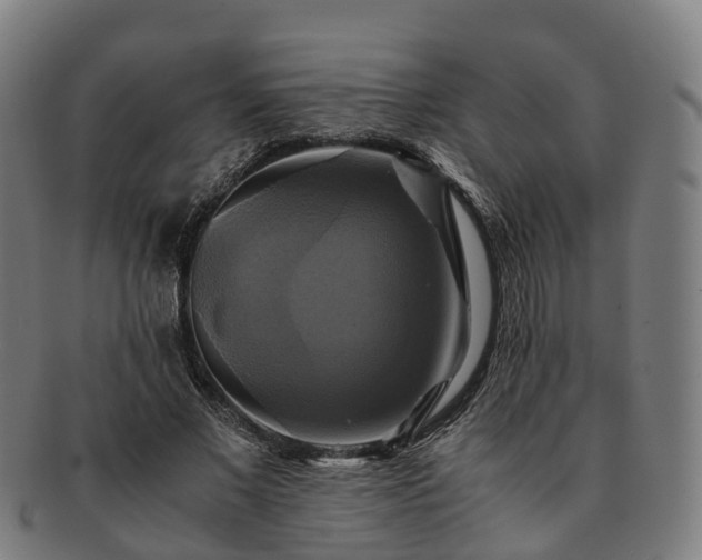 X0000091710685200708311116